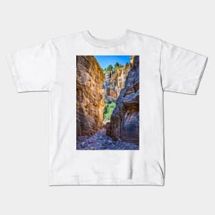 Lick Wash Trail Hike Kids T-Shirt